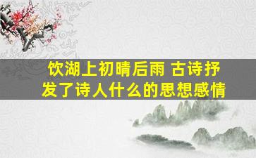 饮湖上初晴后雨 古诗抒发了诗人什么的思想感情